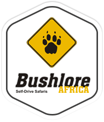 photo source logo : site internet Bushlore