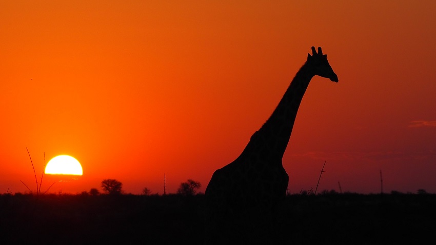self-drive-Afrique australe-4x4-liberté- aventure.jpg