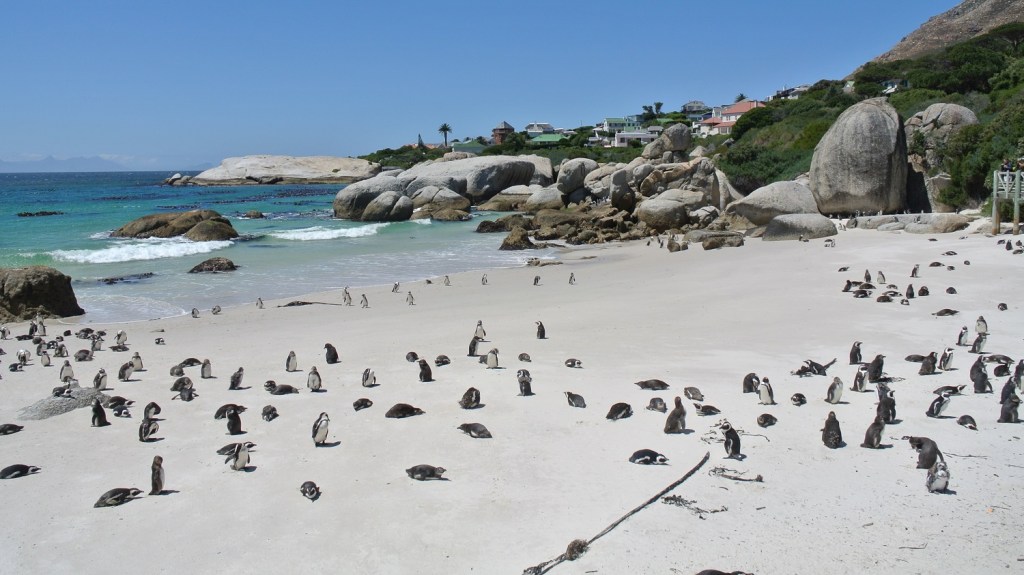 self-drive-afrique du sud-4x4.jpg