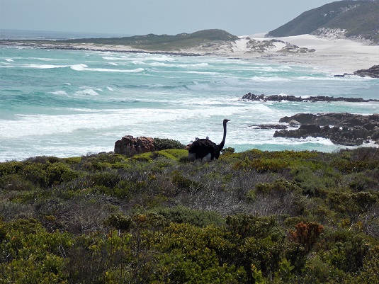CAP DE BONNE ESPERANCE