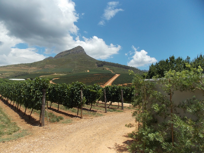 Domaine de Delair Graff afrique du sud