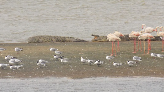 St lucia-Afrique du sud.  du sud-4x4.jpg