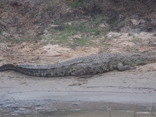 St lucia-Afrique du sud.  du sud-4x4.jpg