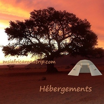 Park imfolosi-Afrique du sud.  du sud-4x4.jpg