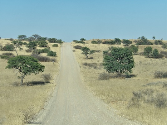 Photo msiafricaroadtrip.com  piste au KTP menant à Mata-Mata Rest Camp dans le Kalahari. Afrique du Sud