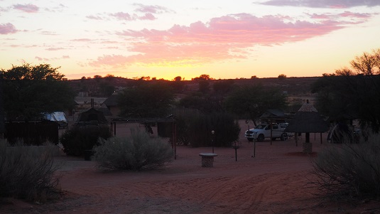 photo msiafricaroadtrip.com à Twee Riveren Rest Camp au KTP en Afrique du Sud.