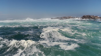 roadtrip-afrique du sud-4x4.jpg