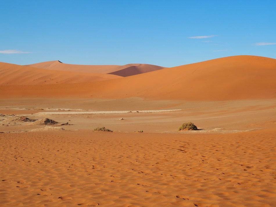  Sossusvlei Vlei et Hidden Vlei Naukluft NAMIBIE