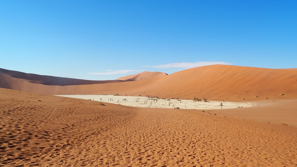 le Dead Vlei  a sossusvlei en namibie
