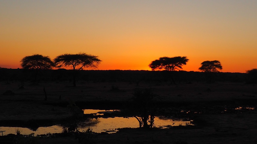    Premières lueurs du jour sur Senyati.  Daybreak at Senyati Botswana