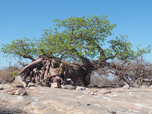 Photo : JP .msiafricaroadtrip.com KHUBU ISLAND BOTSWANA