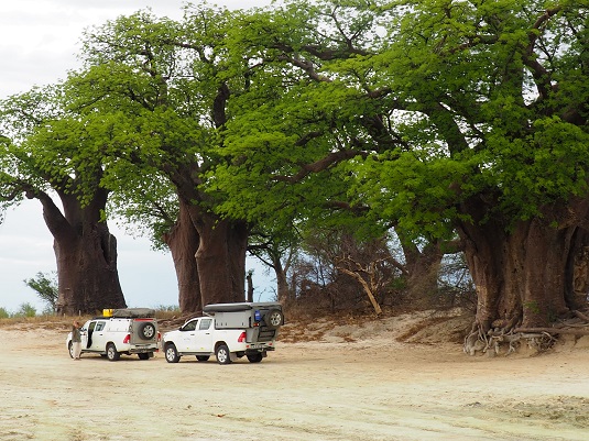 Baines'Baobabs Botswana photo : JP Msiafricaroadtrip.com 