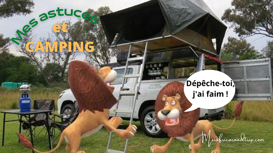 Description de la photo