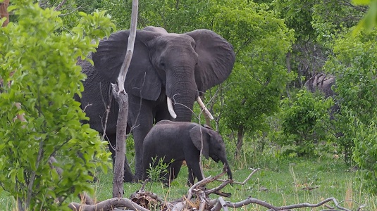 self-drive-Afrique australe-4x4-liberté- aventure.jpg