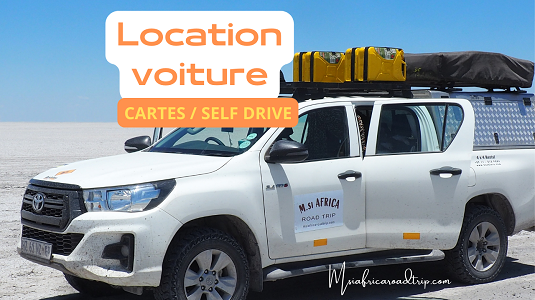 Description de la photo