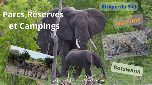 Description de la photo