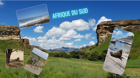 self-drive-afrique du sud-4x4.jpg