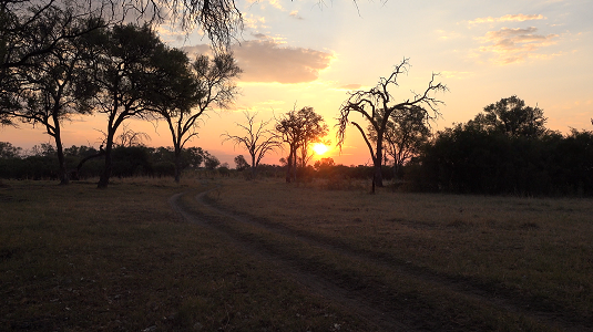 self-drive-Afrique australe-4x4-liberté- aventure.jpg