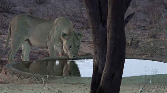 trail bitterpan-Afrique du sud-4x4.jpg
