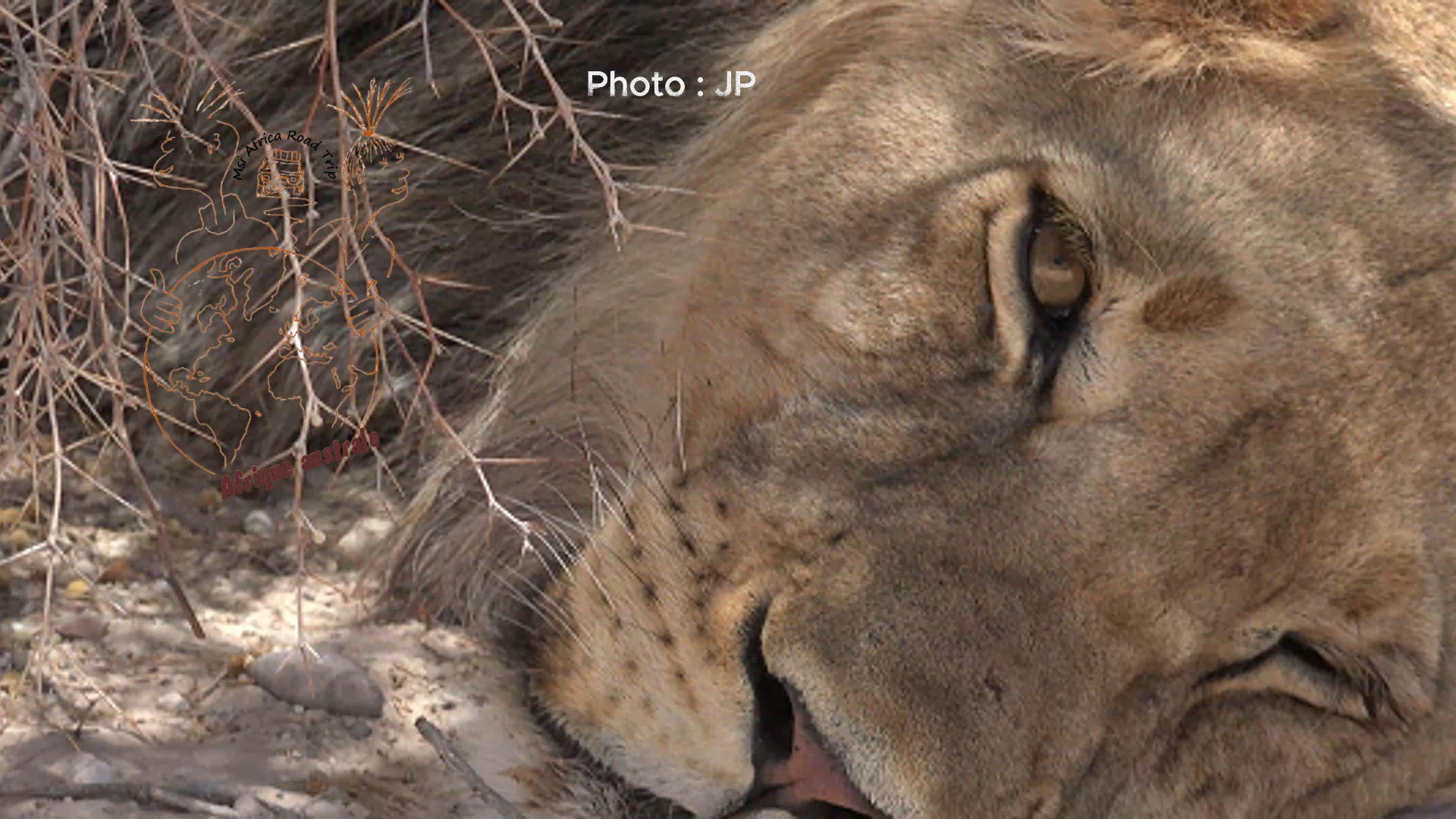 Description de la photo