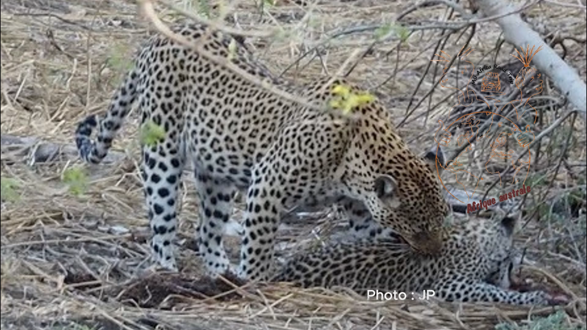 self-drive-afrique du sud-4x4.jpg