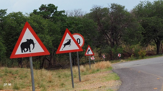 self-drive-Afrique australe-4x4-liberté- aventure.jpg