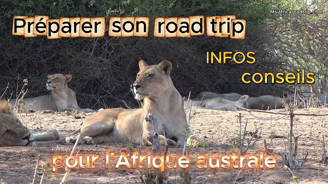 Description de la photo