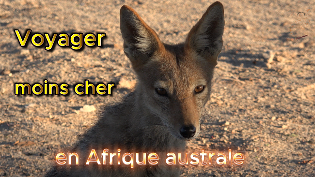 Description de la photo